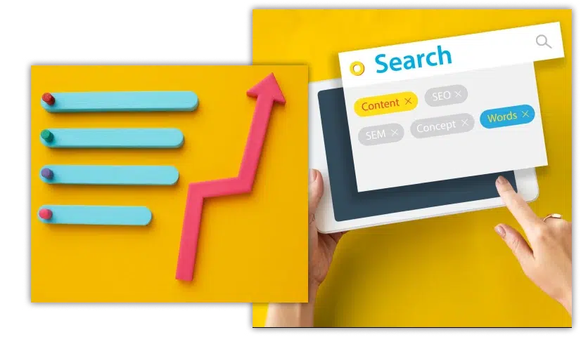Search