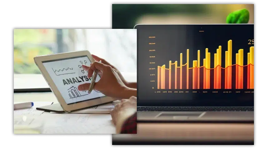 Analytics & Reporting